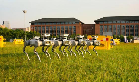 全球范围内首次实现机器狗自主集群,未知环境协同搜索